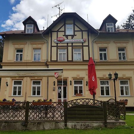 Pension Villa Berolina Mariánské Lázně المظهر الخارجي الصورة