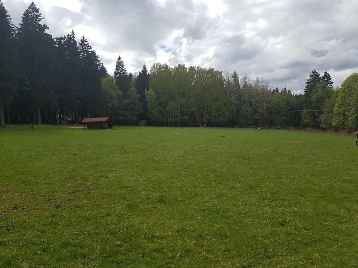 Pension Villa Berolina Mariánské Lázně المظهر الخارجي الصورة