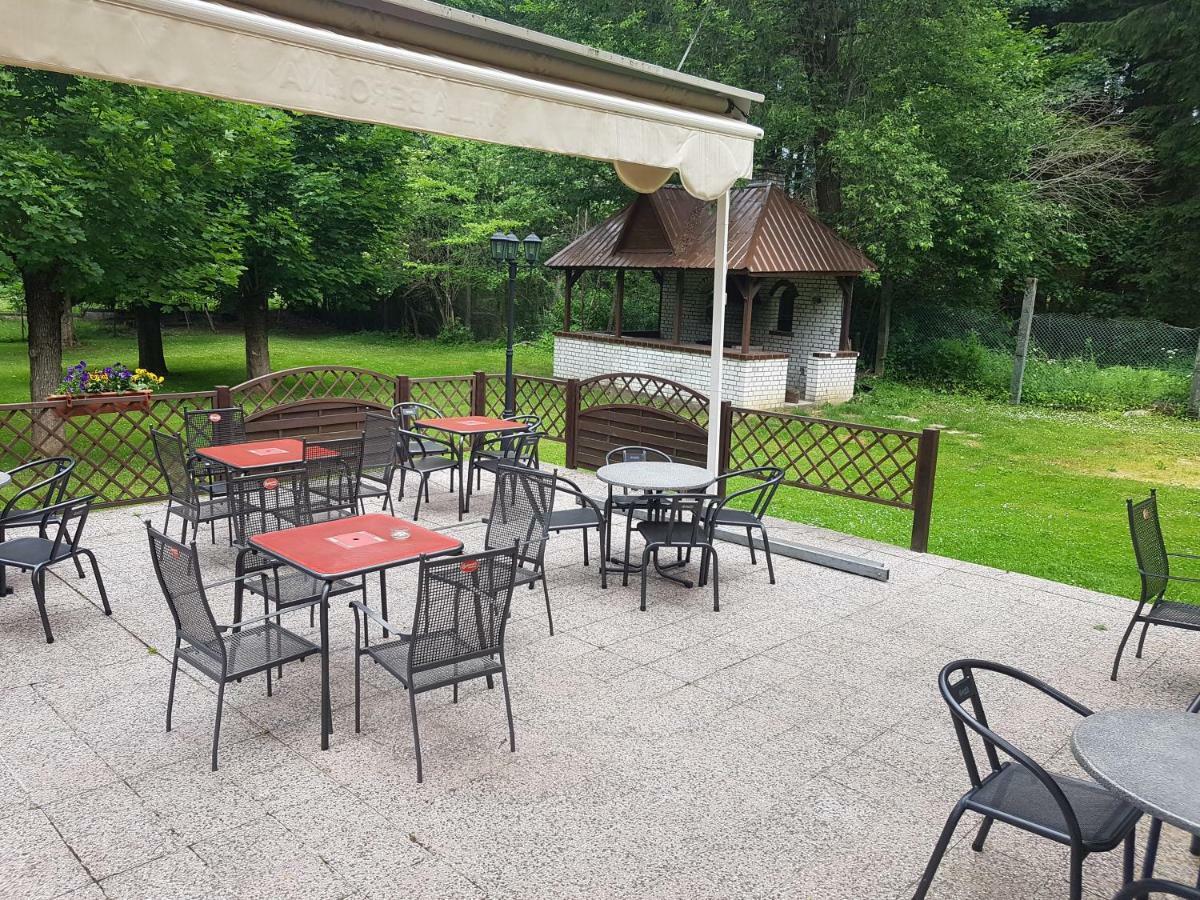 Pension Villa Berolina Mariánské Lázně المظهر الخارجي الصورة